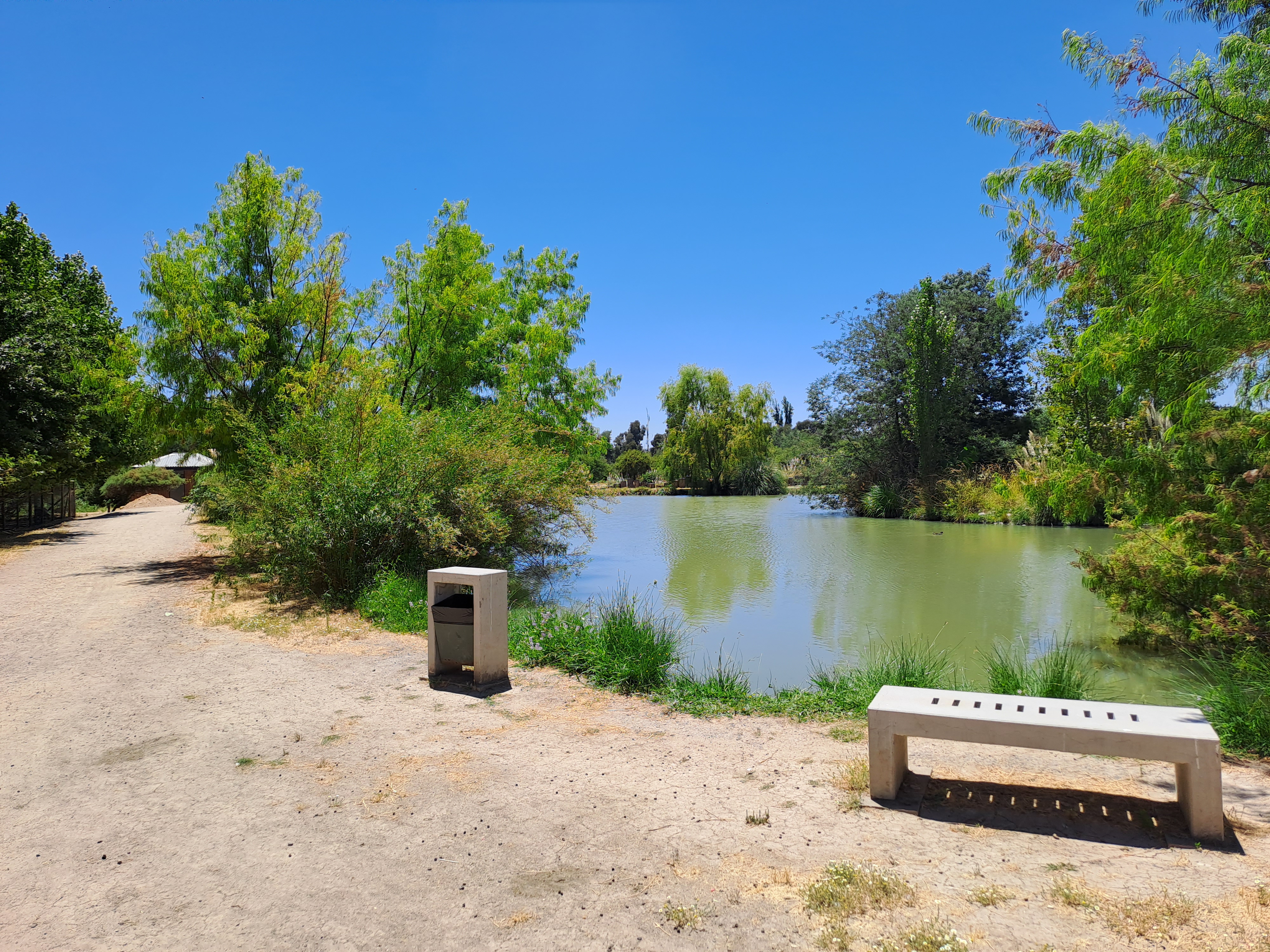 Fotografía del lago con el que cuenta el jardín, se aprecia banca de concreto y basureros